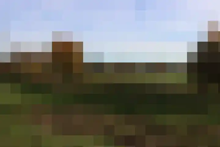 Dakotastraat 6 Groesbeek thumbnail 8