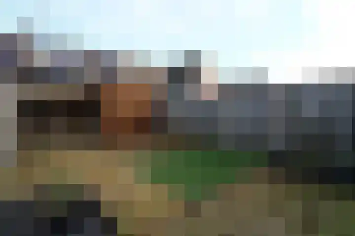 Dakotastraat 9 Groesbeek thumbnail 7