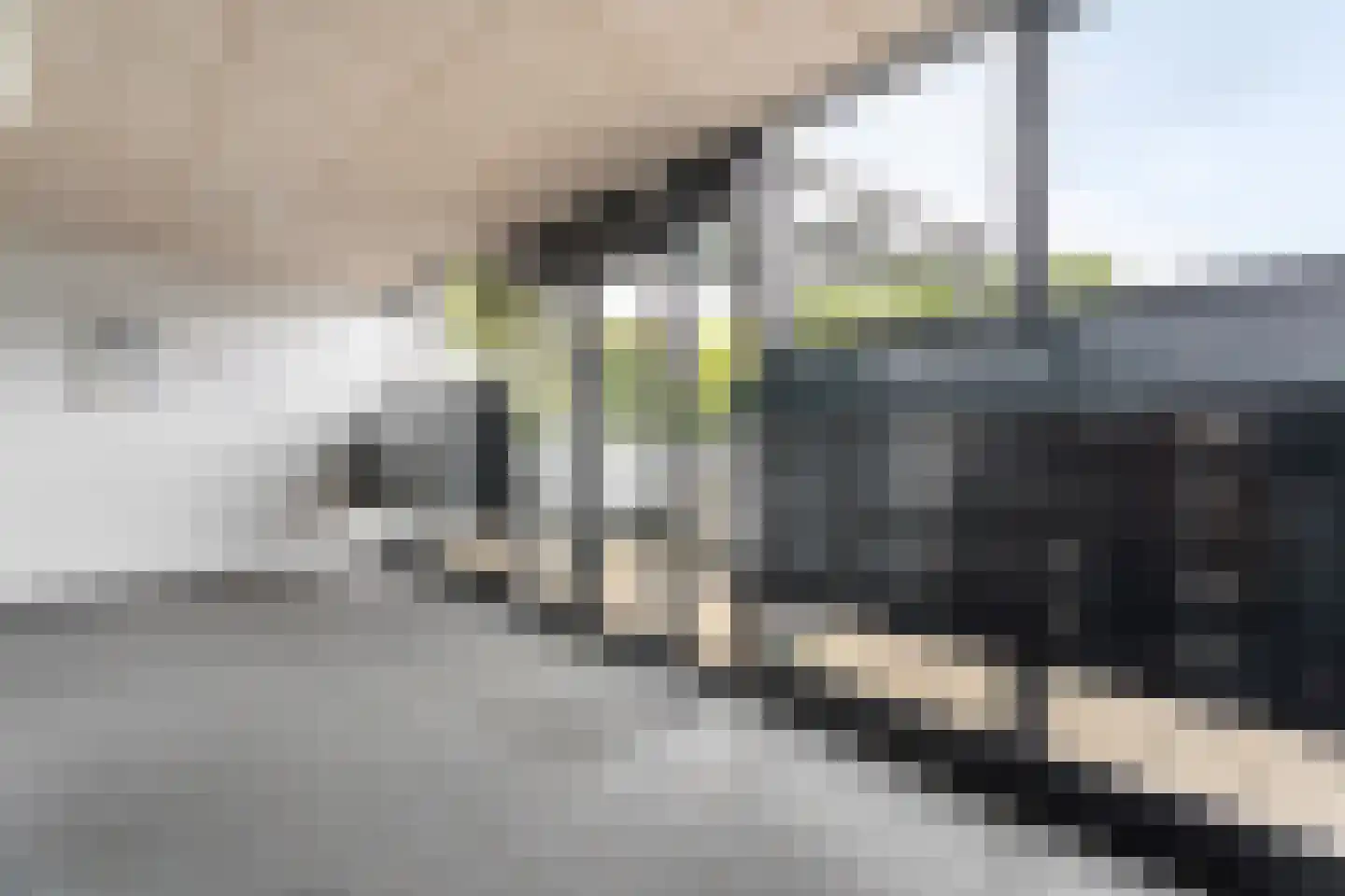 Dakotaweg 195 Capelle aan den IJssel thumbnail 33
