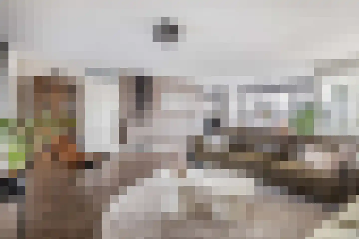 Dakotaweg 205 Capelle aan den IJssel thumbnail 4