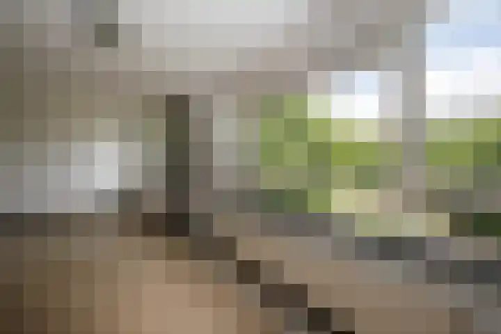 Dakotaweg 217 Capelle aan den IJssel thumbnail 16