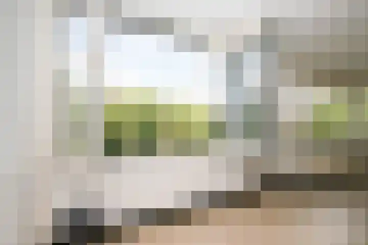 Dakotaweg 217 Capelle aan den IJssel thumbnail 17