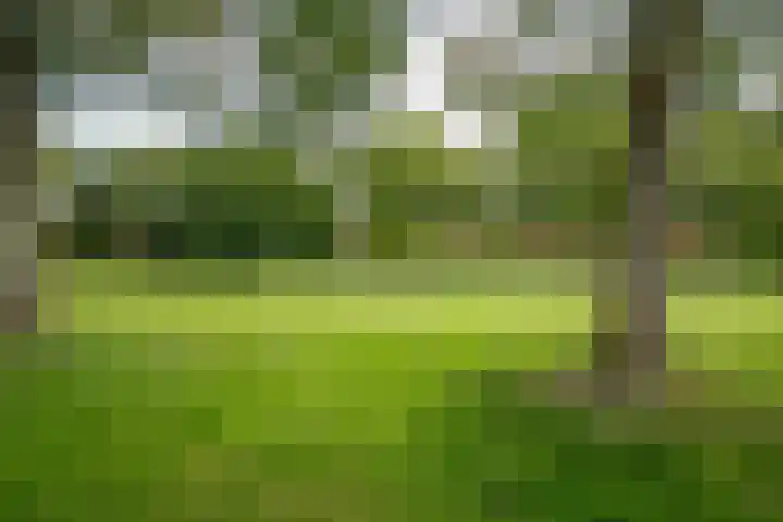 Dakotaweg 217 Capelle aan den IJssel thumbnail 27