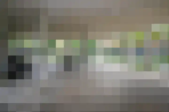 Dakotaweg 217 Capelle aan den IJssel thumbnail 32