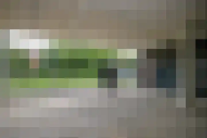 Dakotaweg 217 Capelle aan den IJssel thumbnail 33