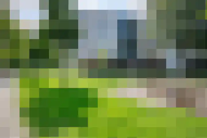 Dakotaweg 217 Capelle aan den IJssel thumbnail 36