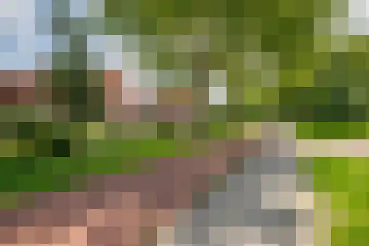 Dakotaweg 217 Capelle aan den IJssel thumbnail 37