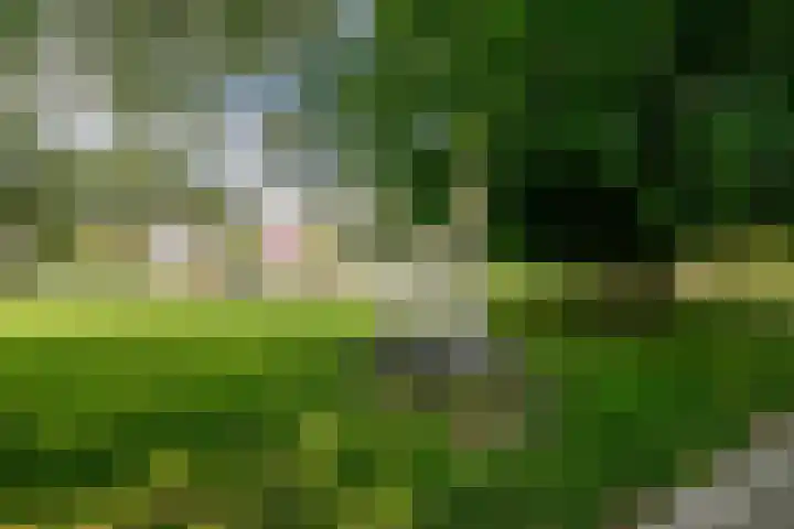 Dakotaweg 217 Capelle aan den IJssel thumbnail 38