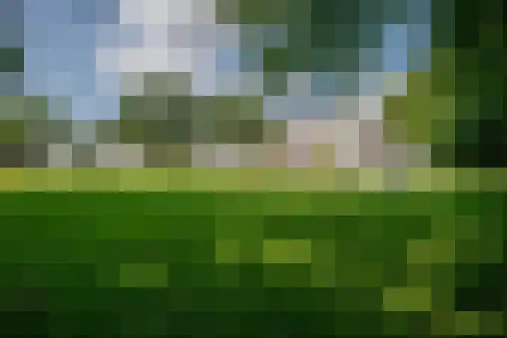 Dakotaweg 217 Capelle aan den IJssel thumbnail 39