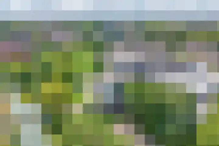 Dakotaweg 217 Capelle aan den IJssel thumbnail 43