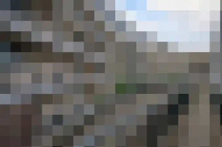 Dakotaweg 217 Capelle aan den IJssel thumbnail 5