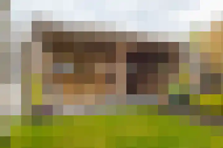 Dal 25 Tolbert thumbnail 24