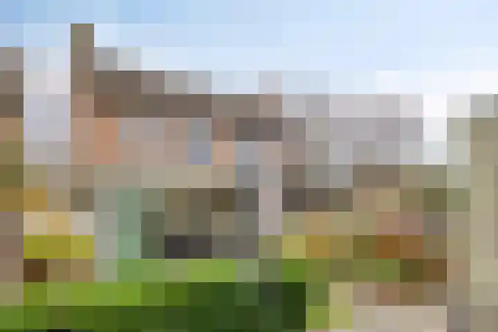 Dal 25 Tolbert thumbnail 26