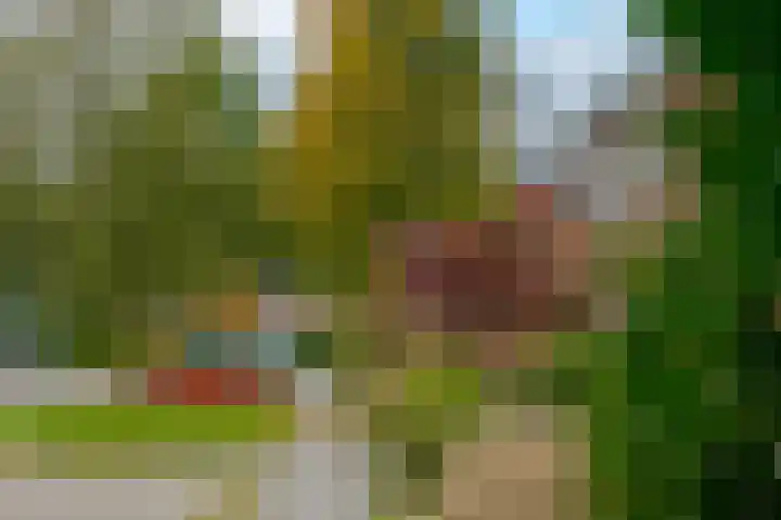 Dal 25 Tolbert thumbnail 7