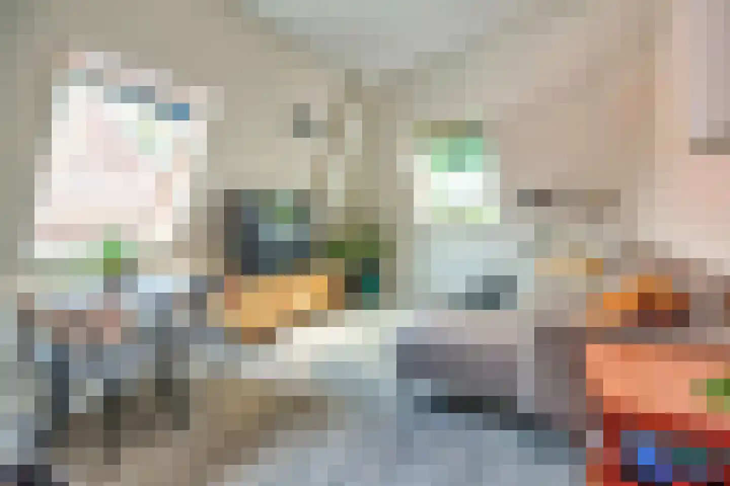 Dal 7 D Hoorn thumbnail 10
