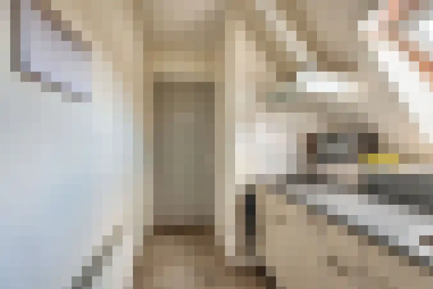 Dal 7 D Hoorn thumbnail 16