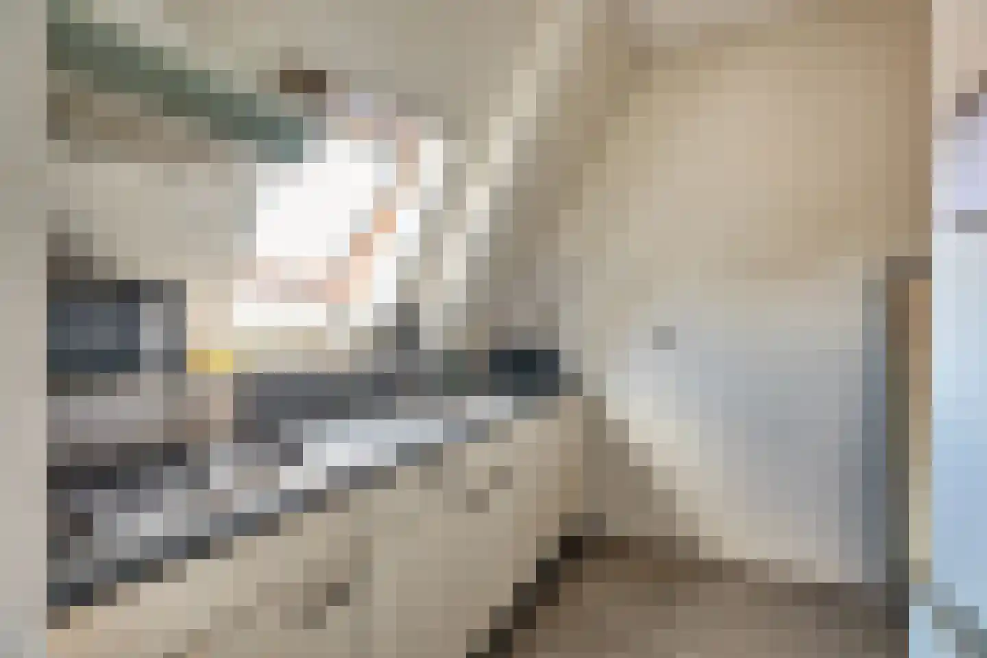 Dal 7 D Hoorn thumbnail 17