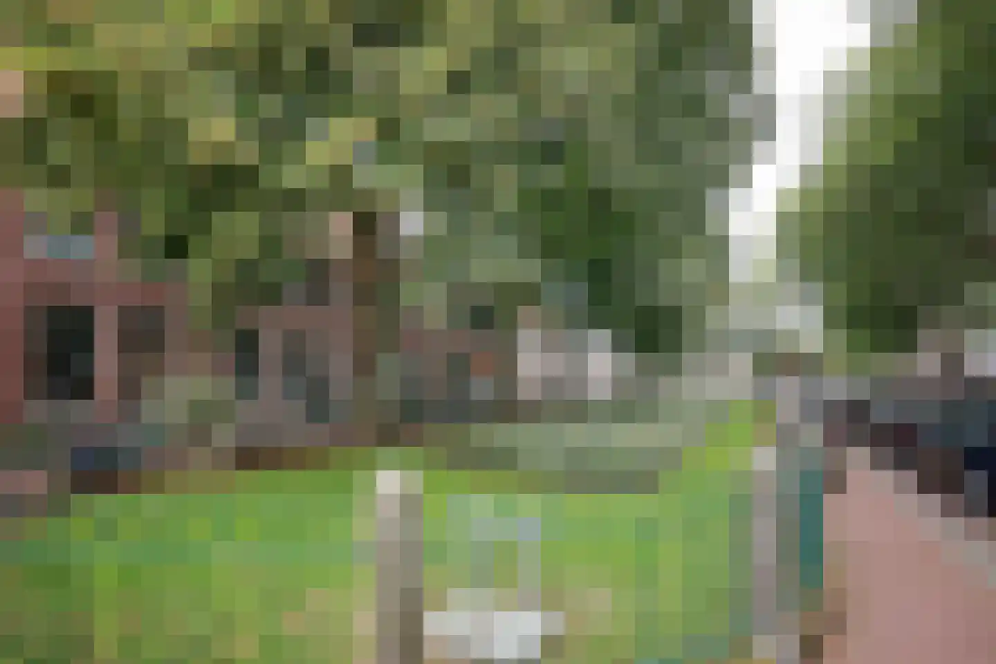 Dal 7 D Hoorn thumbnail 22