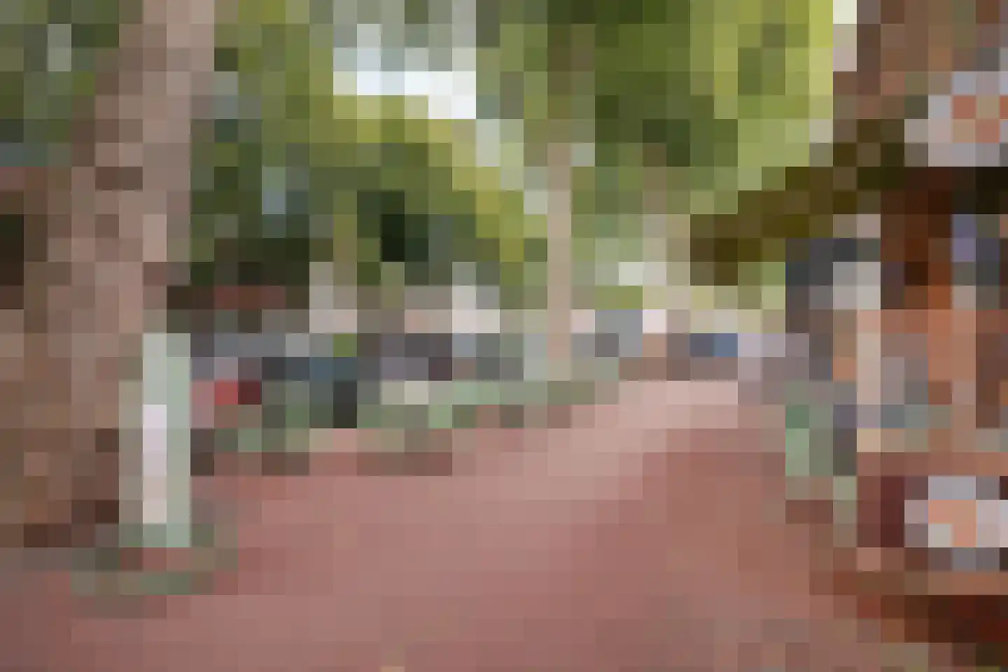 Dal 7 D Hoorn thumbnail 24