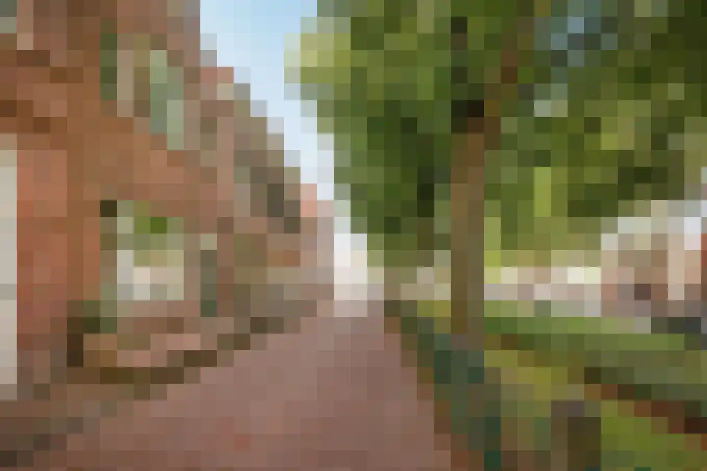 Dal 7 D Hoorn thumbnail 8