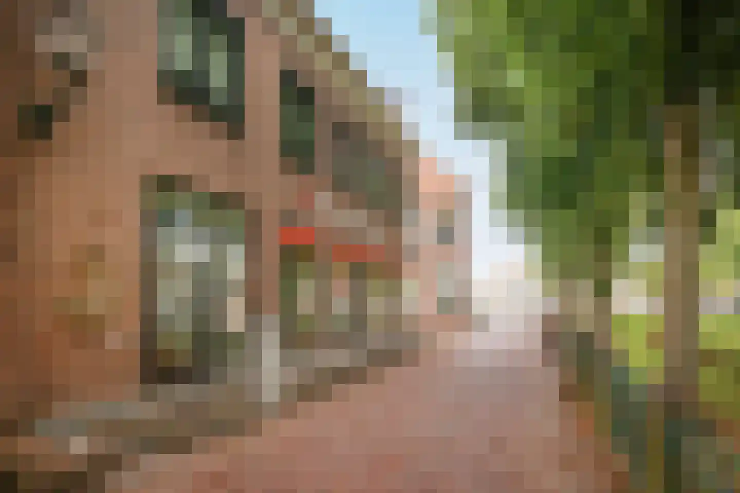 Dal 7 D Hoorn thumbnail 9