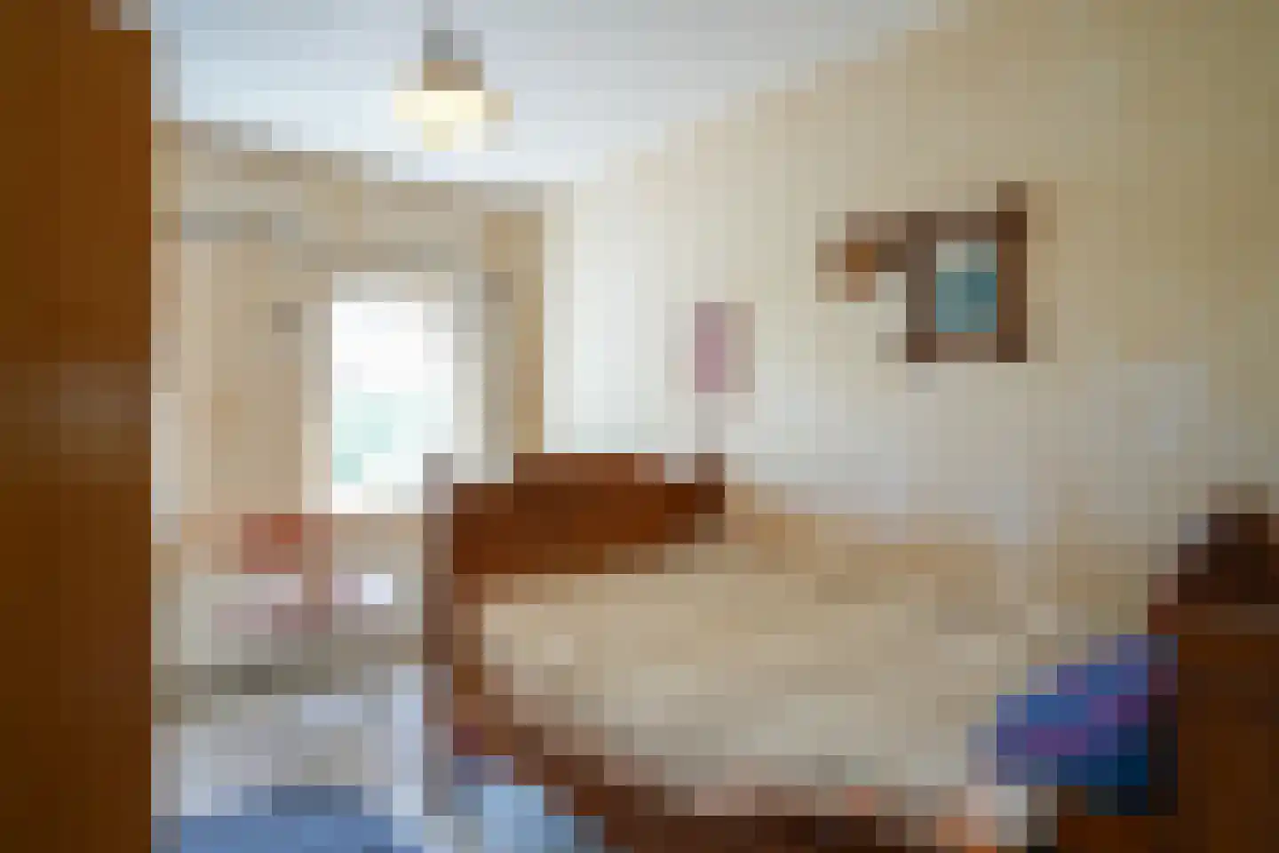 Dal Bissenweg 10 Mechelen thumbnail 16