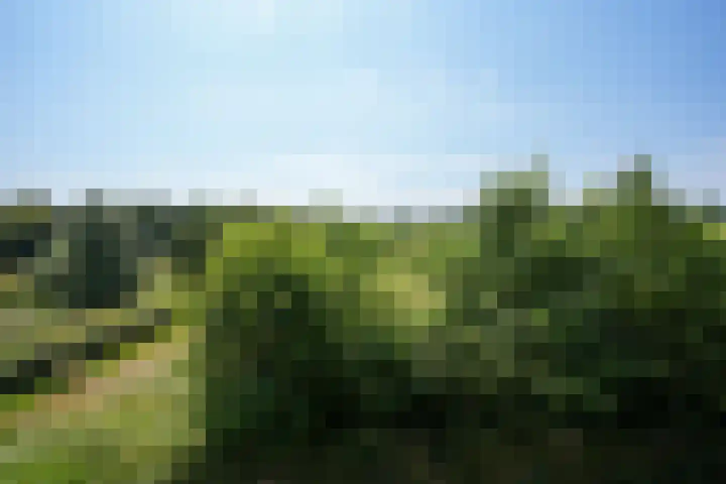 Dal Bissenweg 10 Mechelen thumbnail 22
