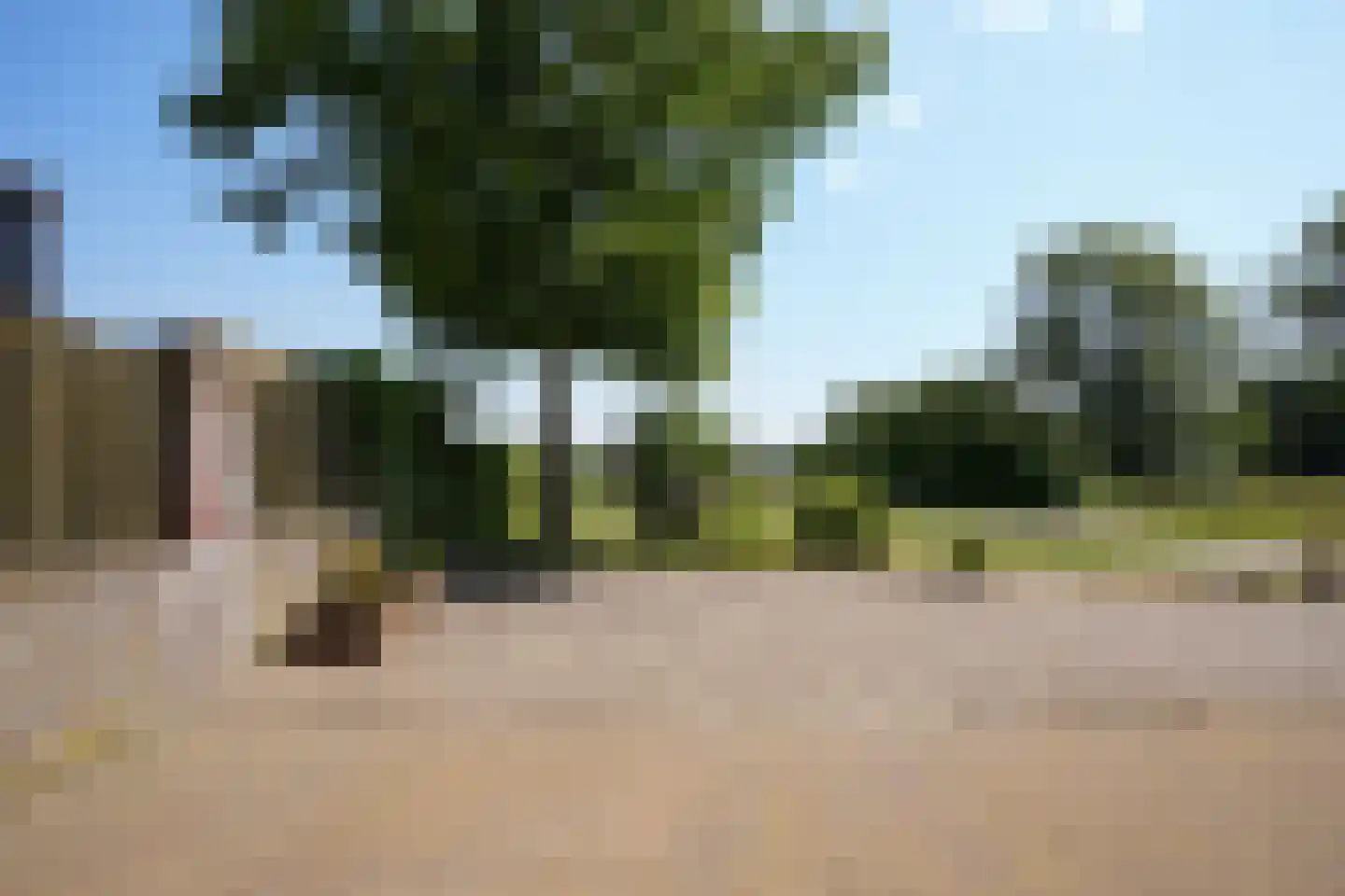 Dal Bissenweg 10 Mechelen thumbnail 25