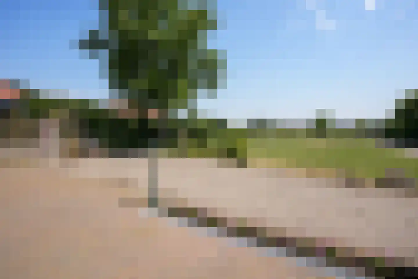 Dal Bissenweg 10 Mechelen thumbnail 27