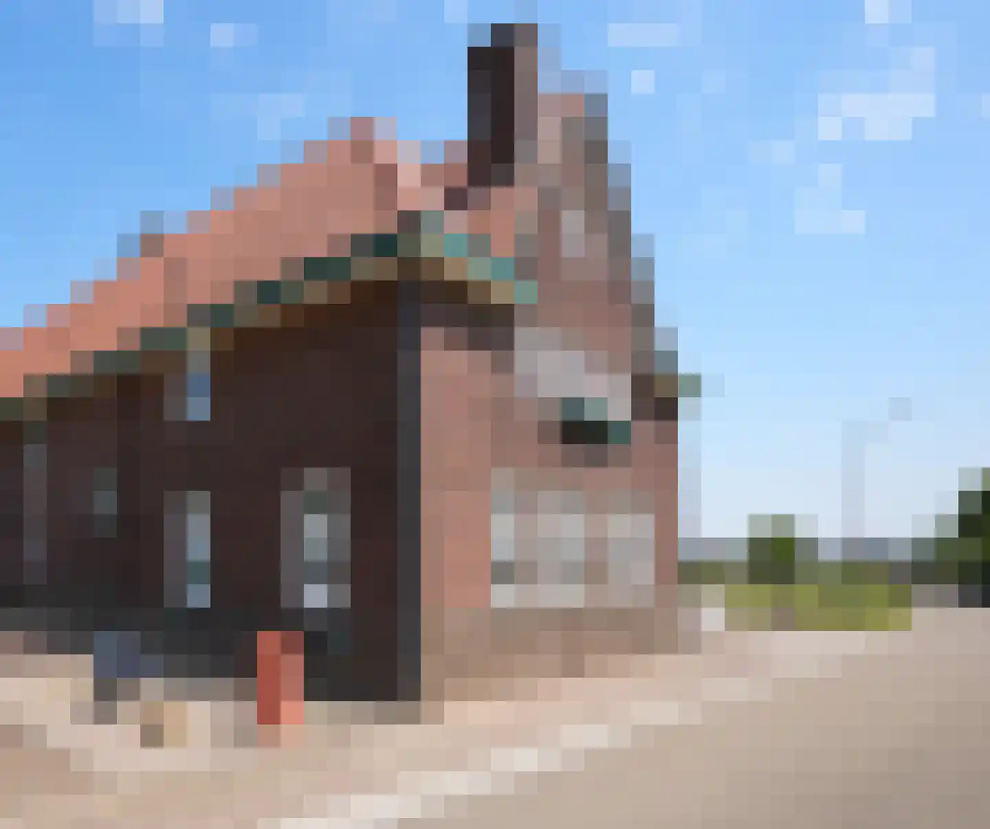 Dal Bissenweg 10 Mechelen thumbnail 28