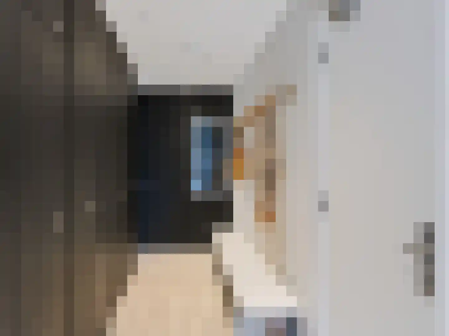 Dal van Haasbroek 7 Bergen aan Zee thumbnail 18