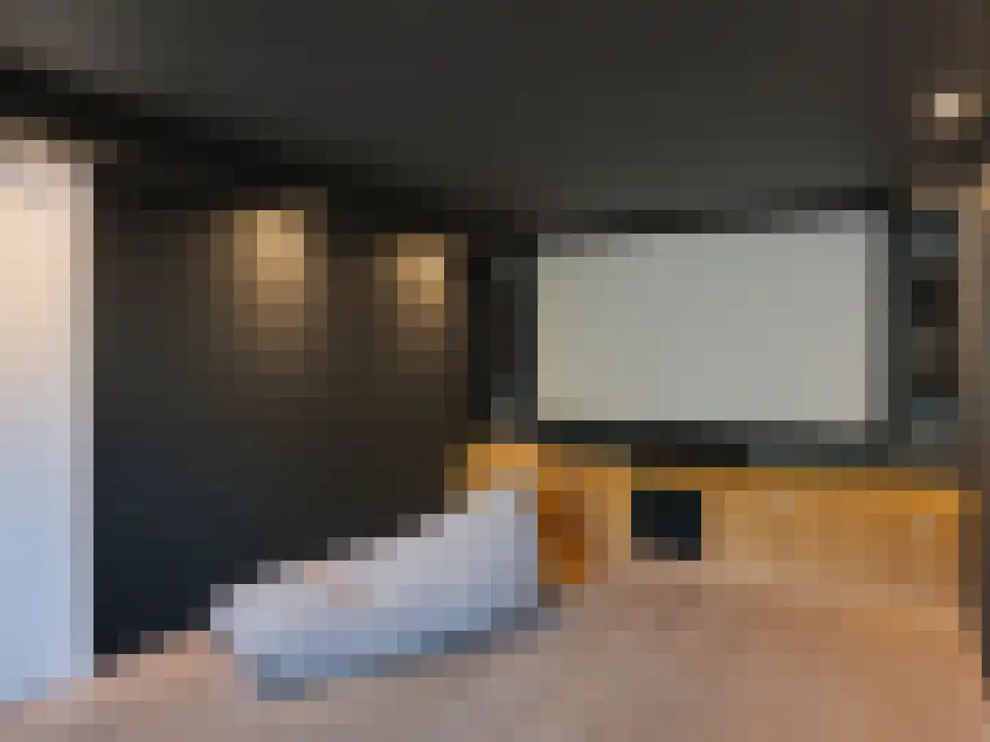 Dal van Haasbroek 7 Bergen aan Zee thumbnail 20