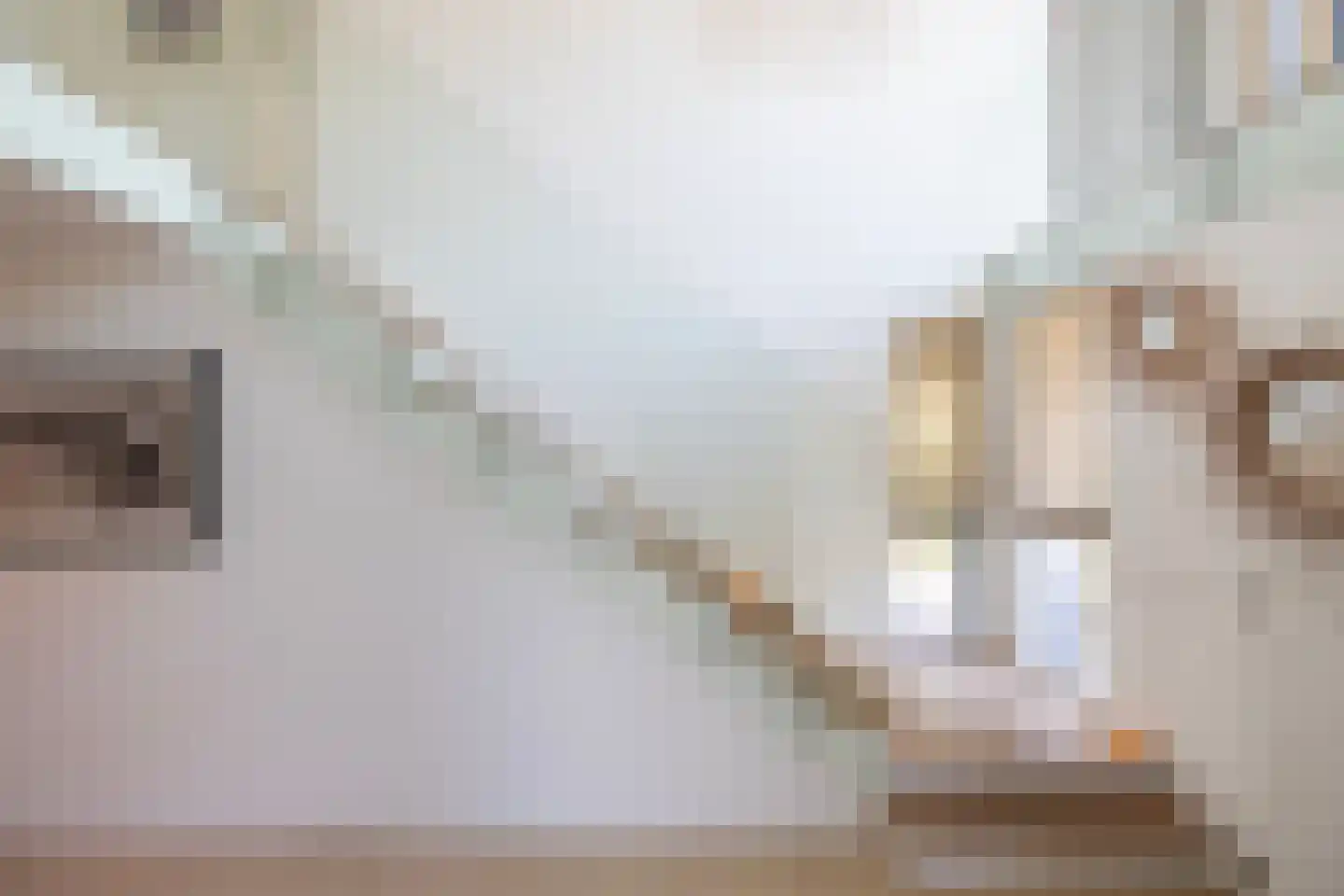 Dal van Haasbroek 7 Bergen aan Zee thumbnail 22