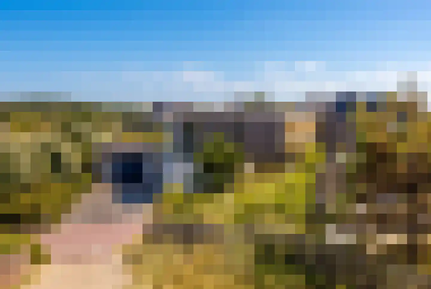 Dal van Haasbroek 7 Bergen aan Zee foto 3