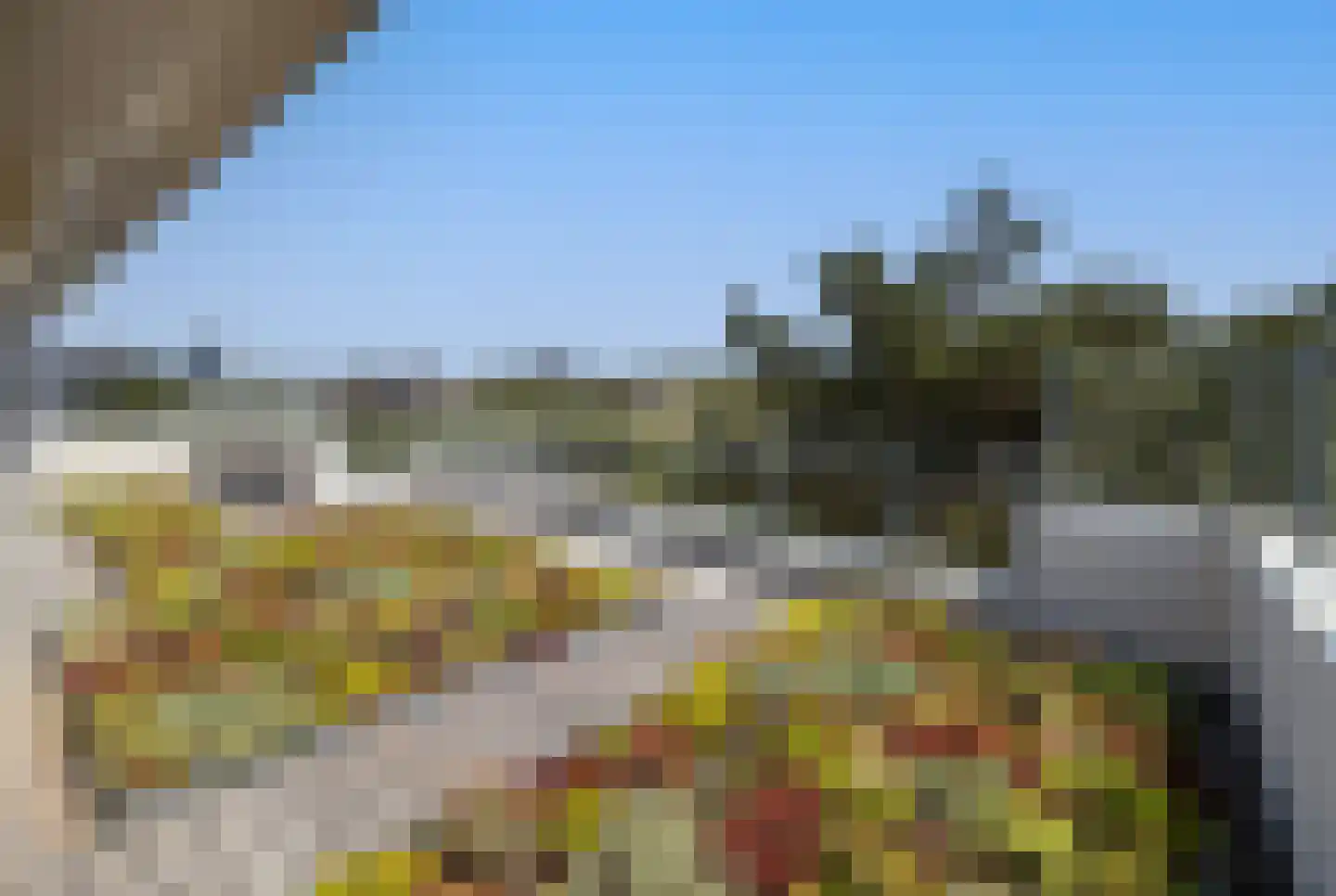 Dal van Haasbroek 7 Bergen aan Zee thumbnail 33