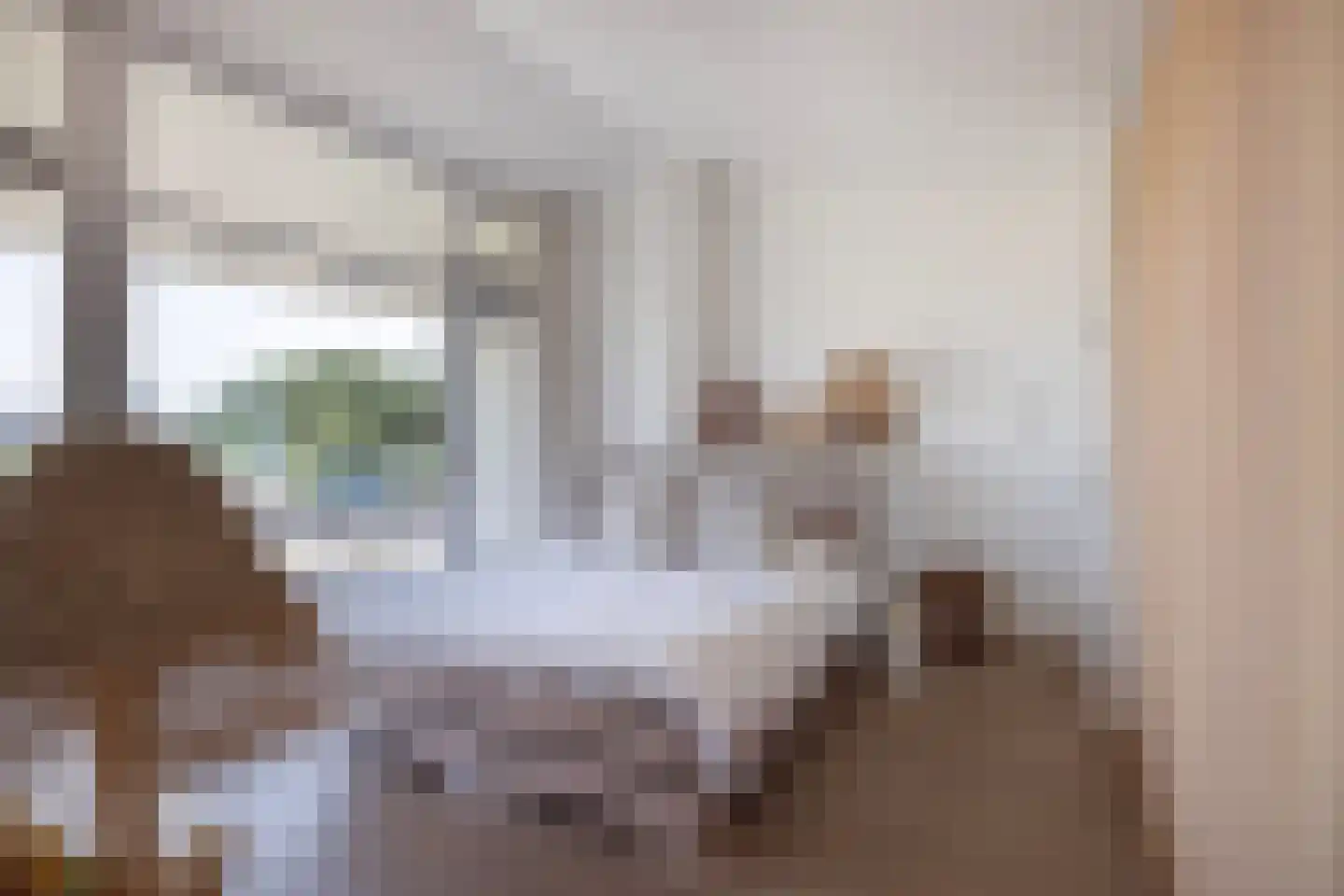 Dal van Haasbroek 7 Bergen aan Zee thumbnail 41