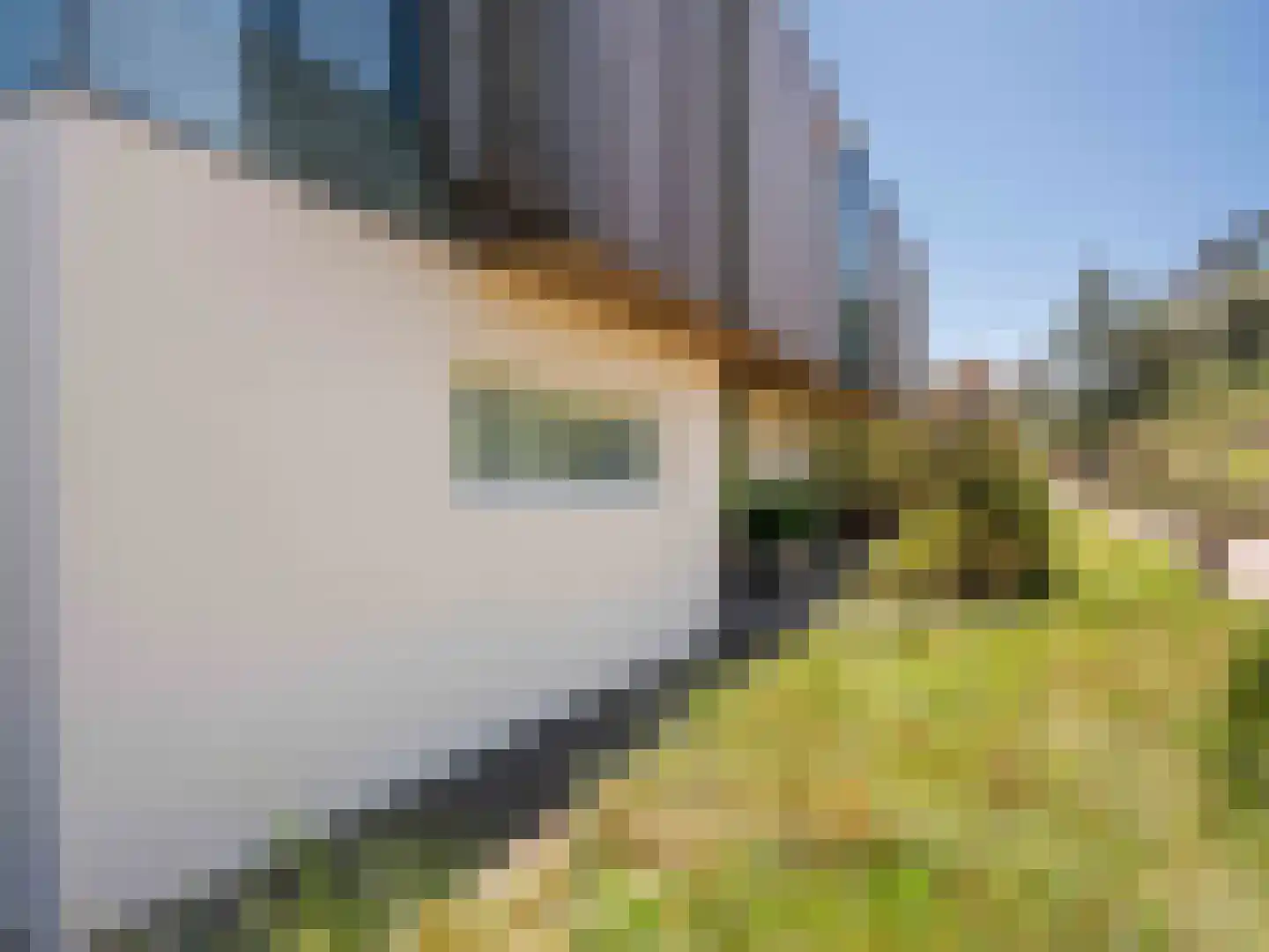 Dal van Haasbroek 7 Bergen aan Zee thumbnail 43