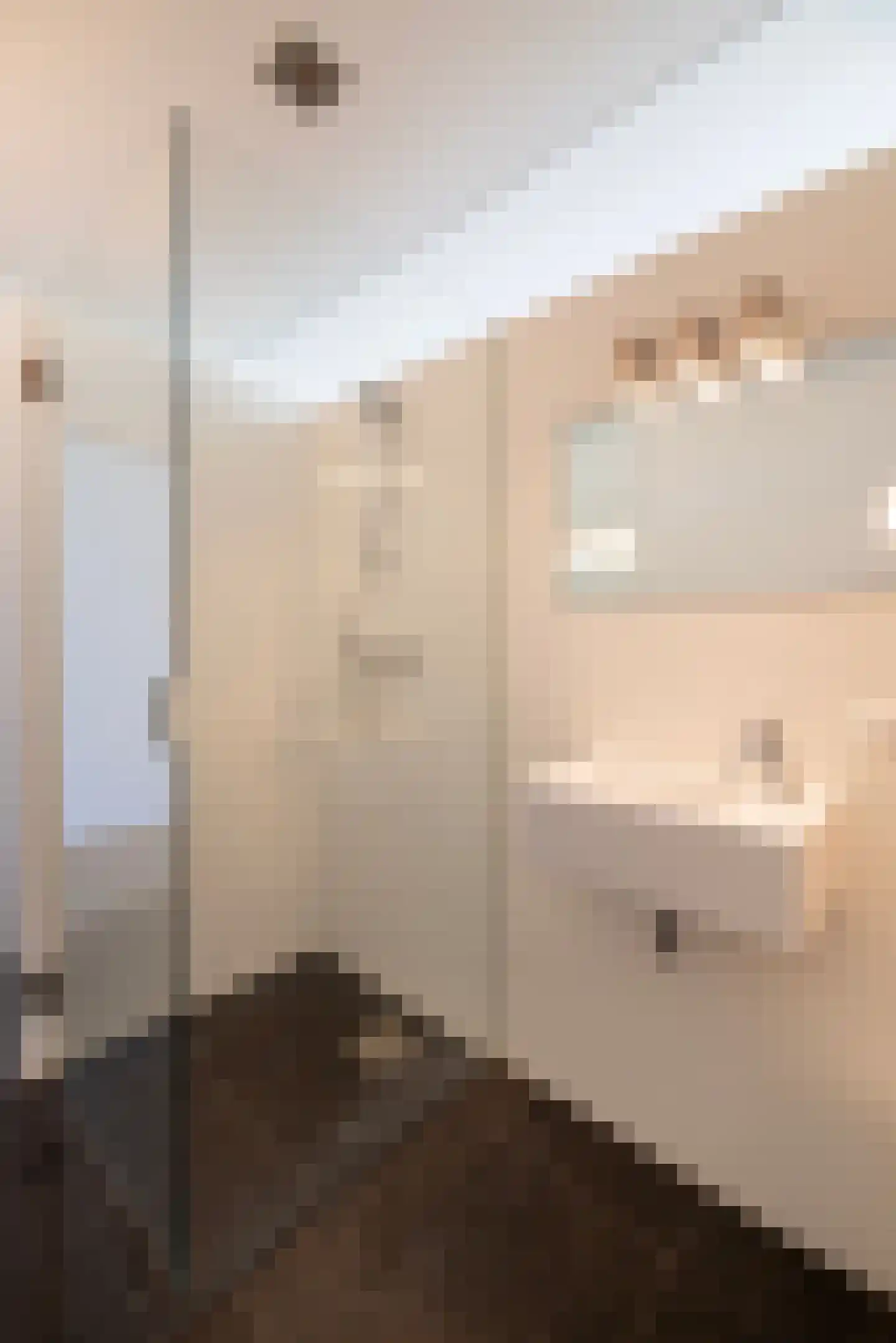 Dal van Haasbroek 7 Bergen aan Zee thumbnail 45