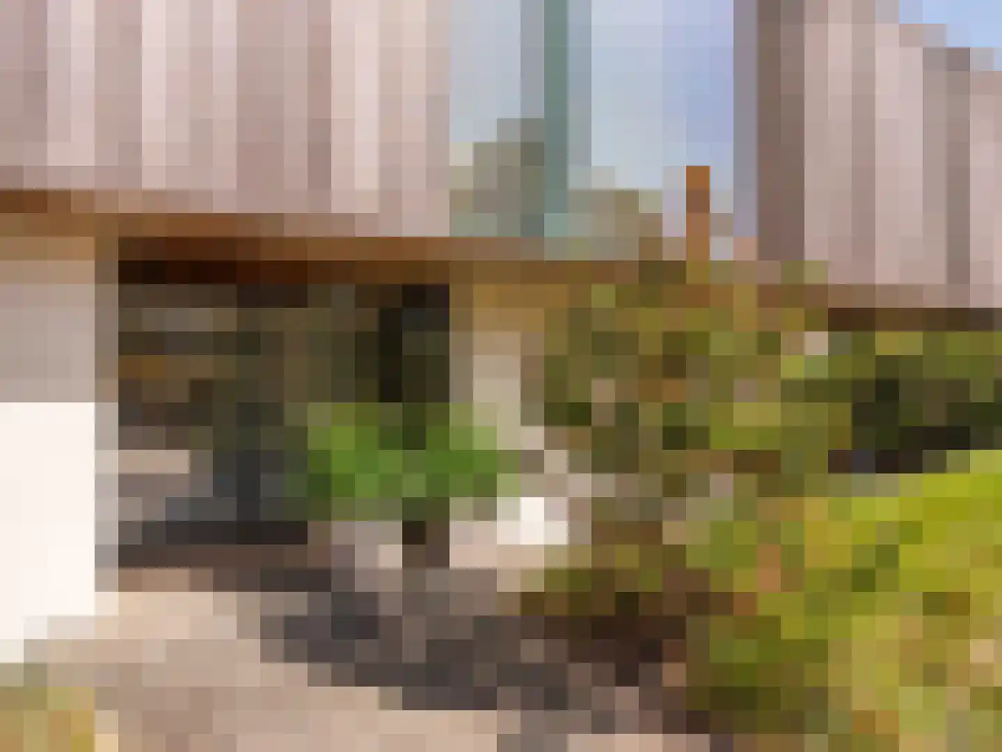 Dal van Haasbroek 7 Bergen aan Zee thumbnail 52