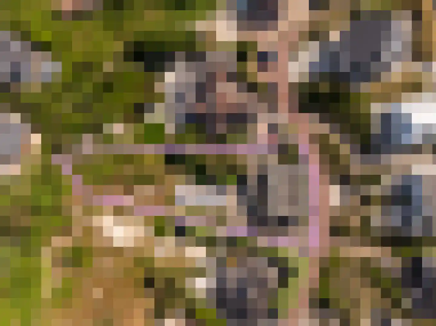 Dal van Haasbroek 7 Bergen aan Zee thumbnail 57