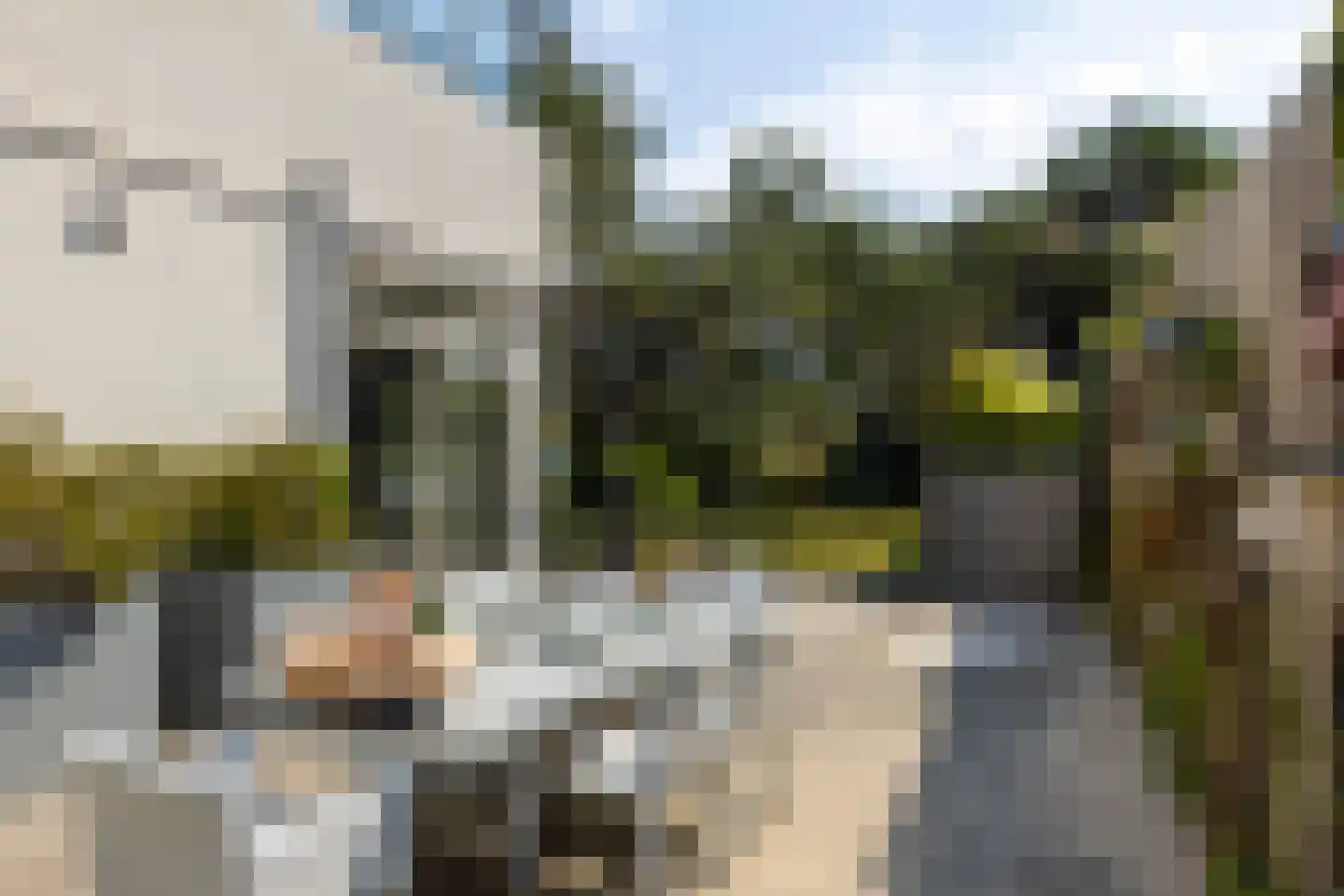 Dal van Haasbroek 7 Bergen aan Zee thumbnail 59
