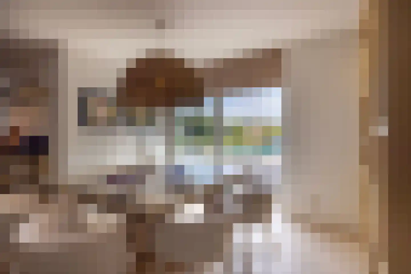 Dal van Haasbroek 7 Bergen aan Zee thumbnail 6