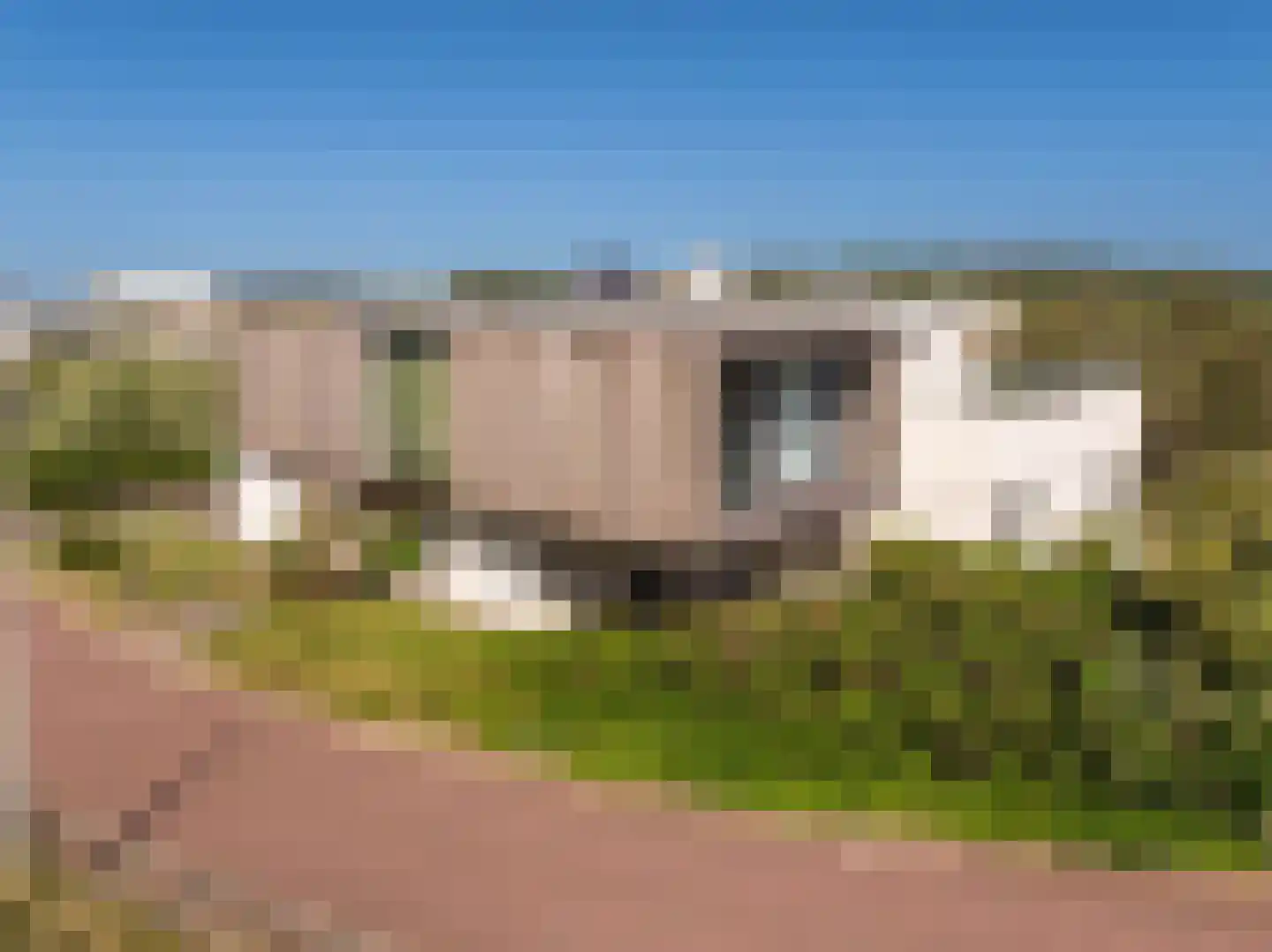 Dal van Haasbroek 7 Bergen aan Zee thumbnail 62