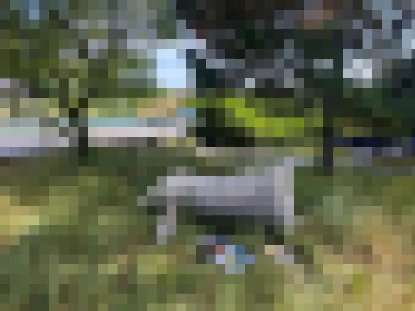 Dal van Haasbroek 7 Bergen aan Zee thumbnail 73