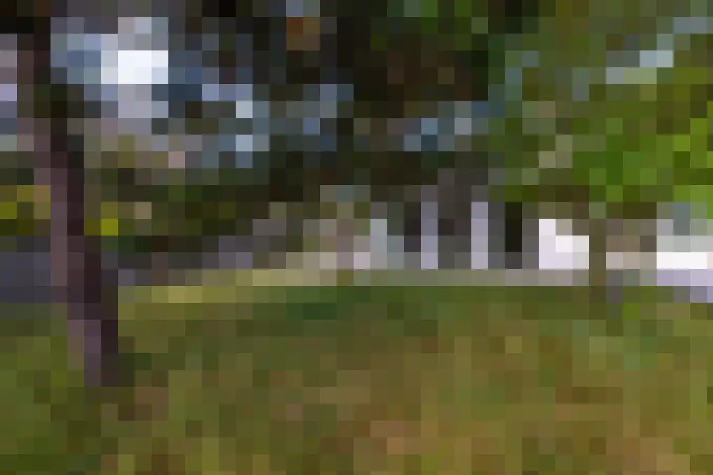 Dal van Haasbroek 7 Bergen aan Zee thumbnail 74