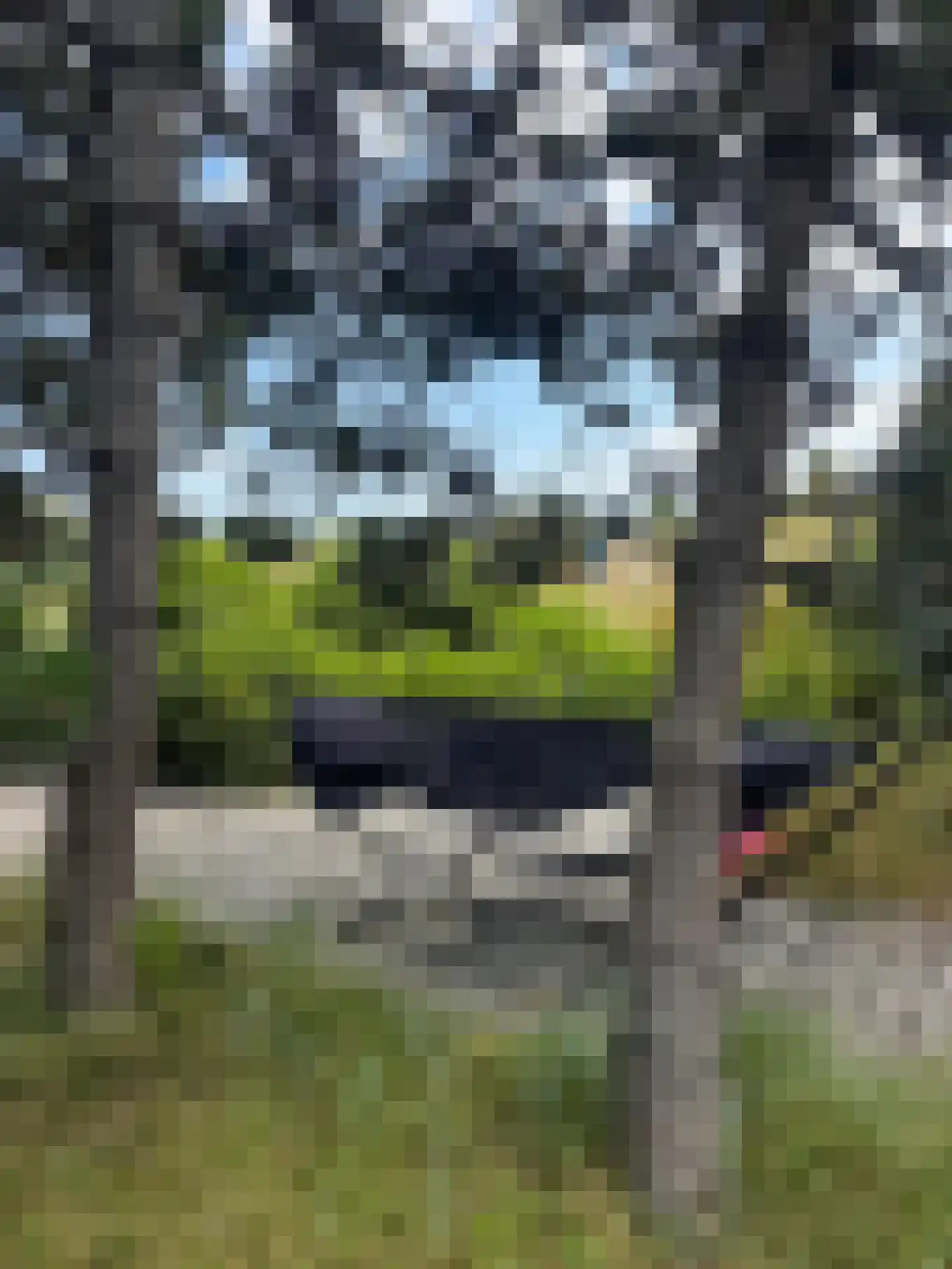 Dal van Haasbroek 7 Bergen aan Zee thumbnail 75