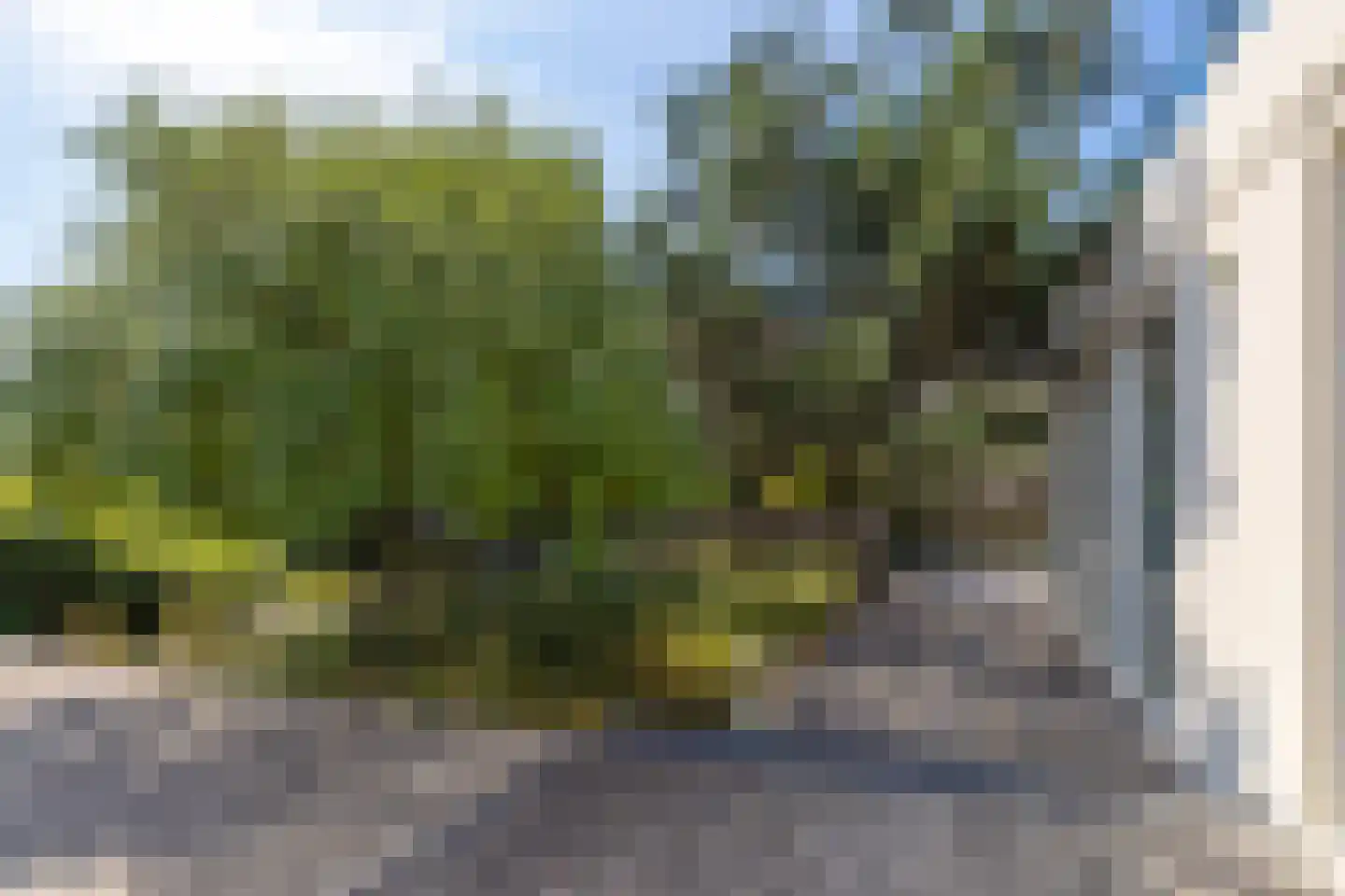 Dal van Haasbroek 7 Bergen aan Zee thumbnail 76