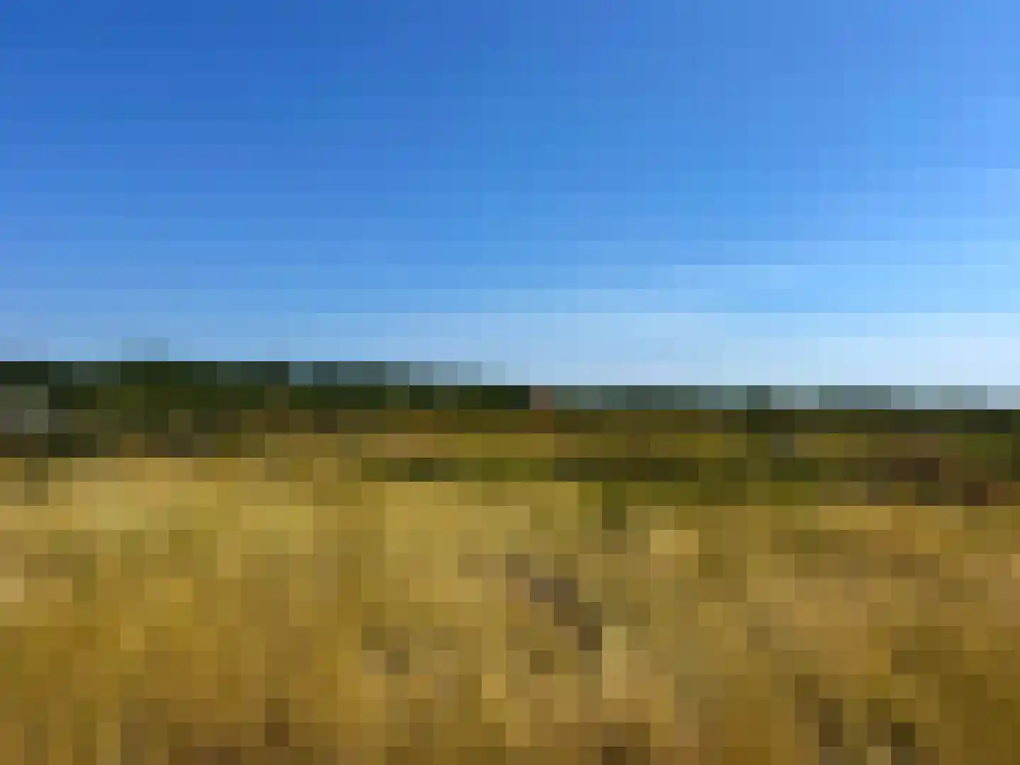 Dal van Haasbroek 7 Bergen aan Zee thumbnail 77