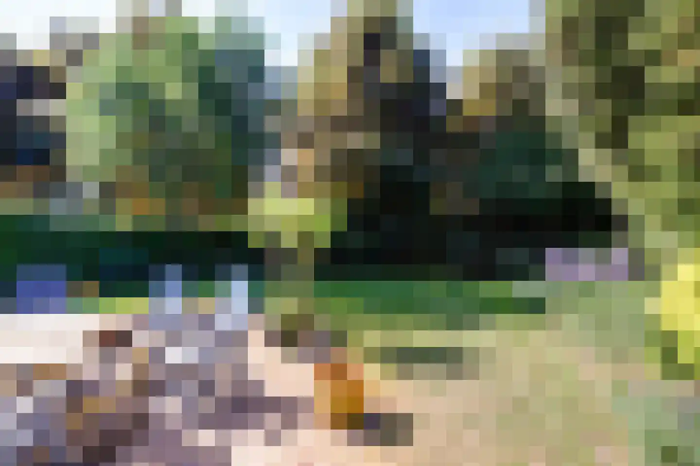 Daleboutsweg 3 0003 Burgh-Haamstede thumbnail 20