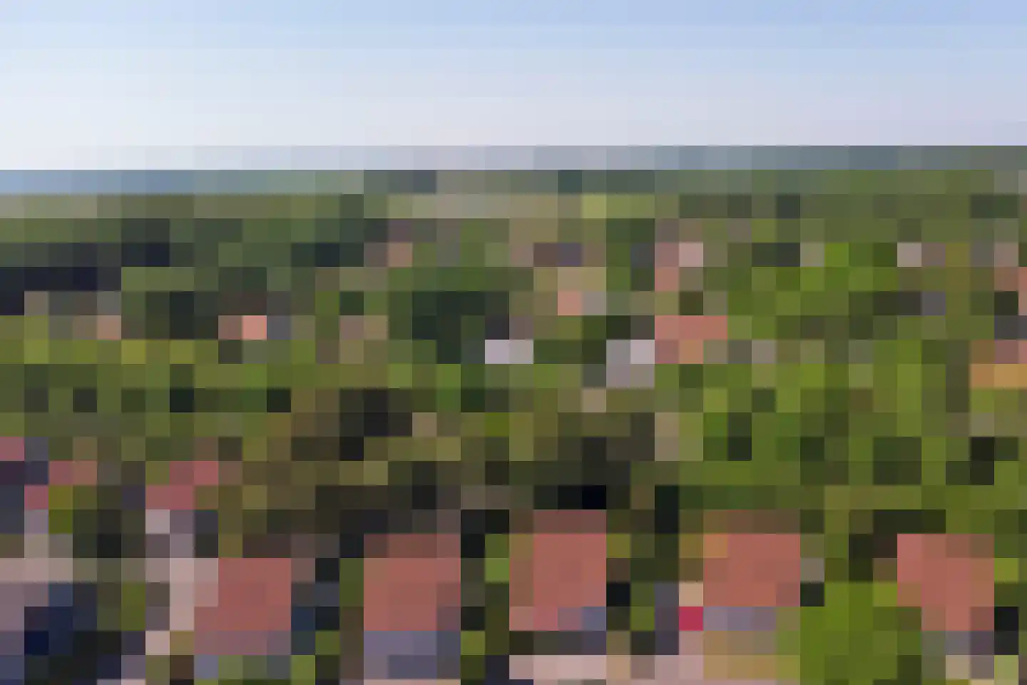 Daleboutsweg 3 0003 Burgh-Haamstede thumbnail 23
